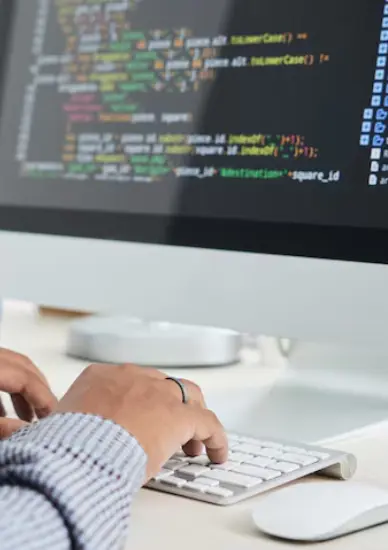 Website Development